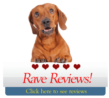 Saint James Animal Hospital Reviews